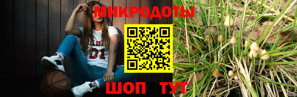 Псилоцибиновые грибы Psilocybe  Вход с VPN  Моршанск 