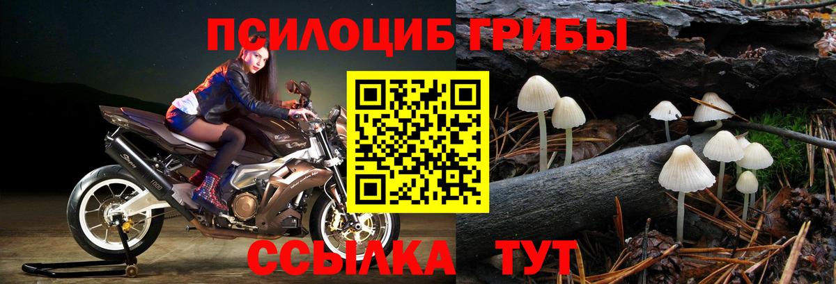 Псилоцибиновые грибы прущие грибы Моршанск